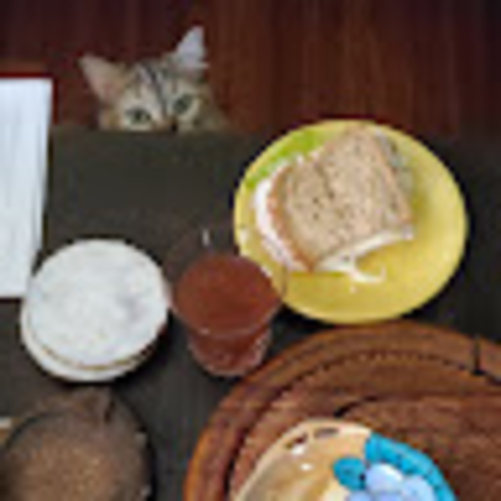 Meet your Posher, Heidi